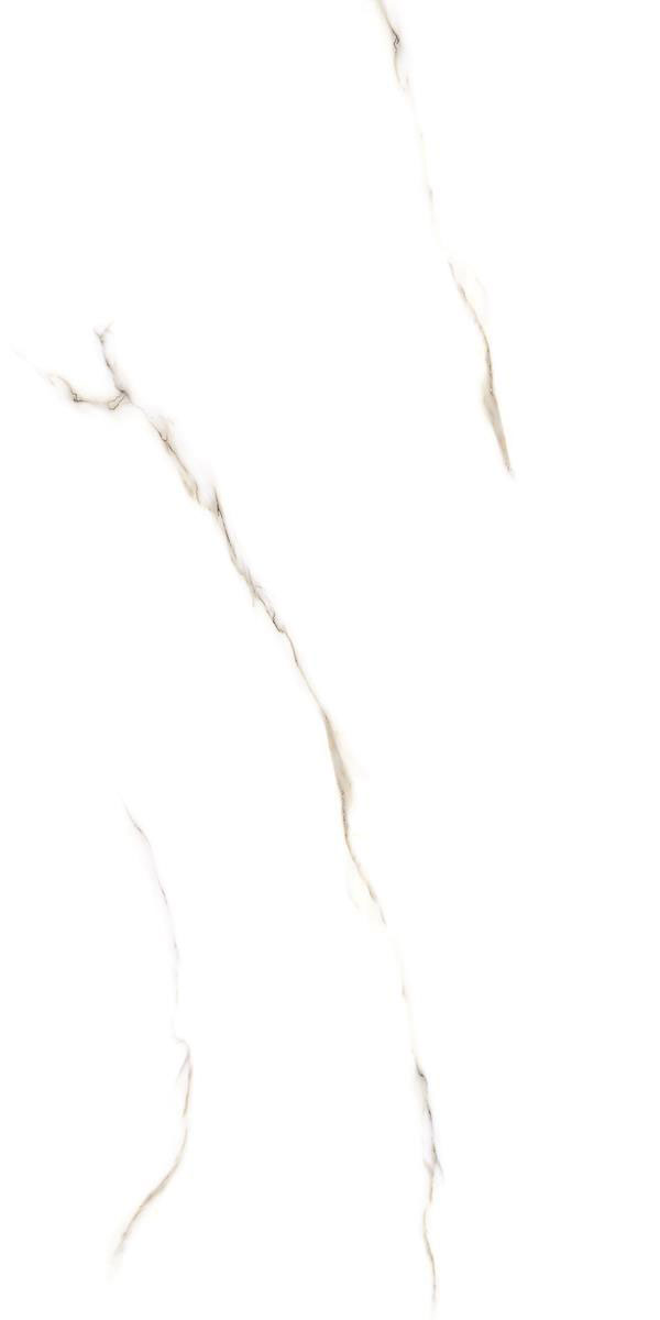 LAVINA WHITE R4